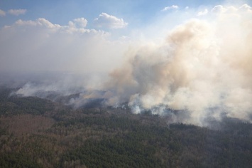 Аваков: Рассматривается две версии возникновения пожаров в Житомирской области - суховеи и умышленный поджог