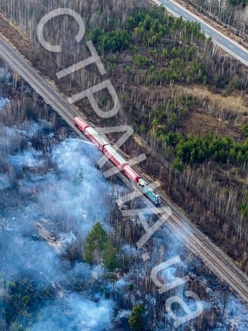 Горящие леса и сгоревшие деревни. Что происходит в Житомирской области. Фото и видео пожаров