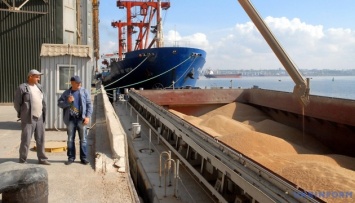 Экономисты не против временного ограничения экспорта зерна