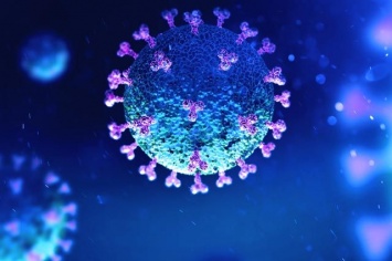 В Запорожской области в свободной продаже появились тесты на коронавирус (ФОТО)