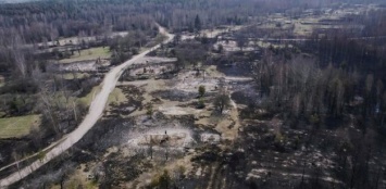 В Чернобыльской зоне продолжают тушить пожары в пяти лесничествах