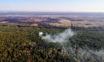 В двух лесхозах Житомирской области удалось потушить пожары