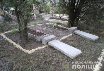 В Запорожской области 13-летний подросток разгромил три десятка могил на кладбище