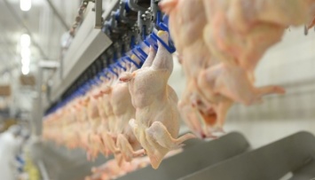 МХП не будет уменьшать поставки курятины на внутренний рынок
