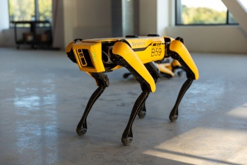 Boston Dynamics предлагает своего робота Spot в борьбе с коронавирусом