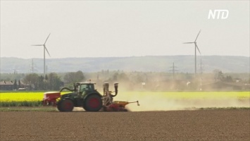 Нехватка рабочей силы и засуха - проблемы немецких фермеров (видео)