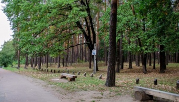 Черниговский ландшафтный парк "Яливщина" омолодился на почти 900 деревьев