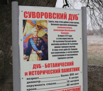 В Крыму взяты под охрану Суворовский дуб и гора Шелудивая