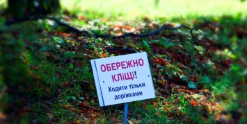 Жителей Днепропетровщины атакуют клещи