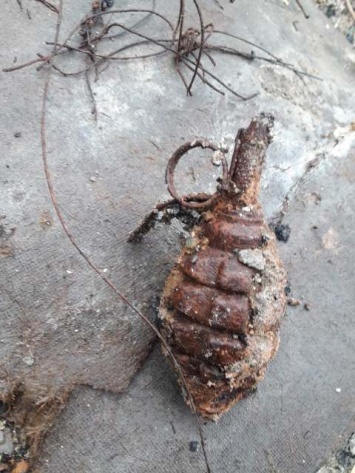 В Житомирской области ребенок нашел ручную гранату во время прогулки с собакой