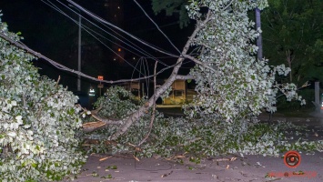 В Днепре в Южном переулке обрушилась электроопора и упало дерево: перекрыты две улицы