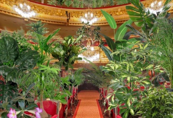 Барселонский оперный театр провел концерт для комнатных растений, которые подарят медикам