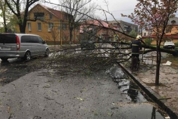 Из-за непогоды в Ивано-Франковской области погибли два человека, один пропал без вести