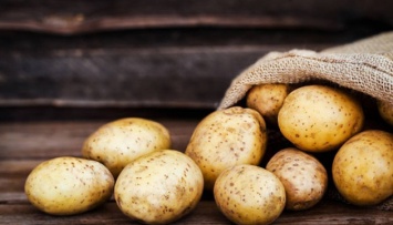 В Украине существенно снизились цены на молодую картошку