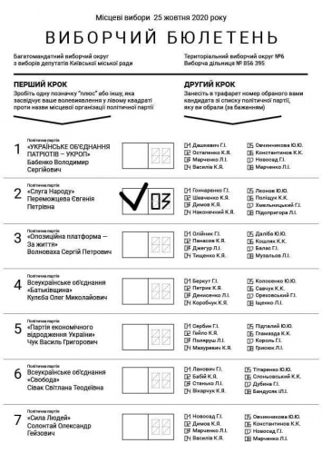 Километровый бюллетень и партийный винегрет - что ждет украинцев на местных выборах-2020