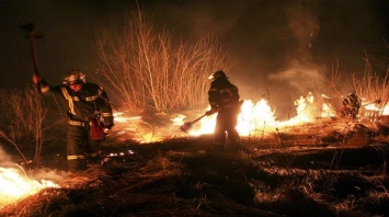 На Днепропетровщине природа страдает от пожаров
