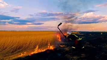 В Днепропетровской области на открытых территориях произошли более 30 пожаров