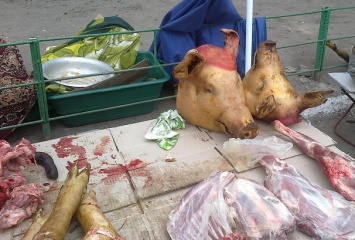 Трупы очумелых свиней кто-то выбросил в поле, - на рынках чумы, пока, не замечено