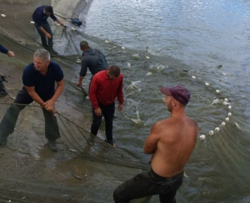 В озеро Кагул выпустят 6 тонн малька - Одесский рыбоохранный патруль