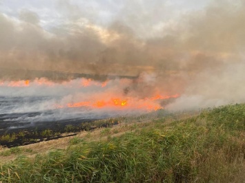 Спасатели Николаевщины потушили 16 пожаров в экосистемах за сутки. Дважды горел лес (ФОТО)
