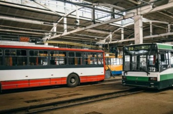 Перешли к жестким мерам: полиция остановила в Черновцах работу всех троллейбусов