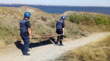 Спасатели Николаевщины за сутки потушили 8 пожаров на открытой территории и обезвредили 4 снаряда, которые нашел директор заповедника (ФОТО)