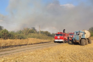 В Харьковской области из-за поджогов за сутки выгорело 12 гектар сухостоя, - ФОТО