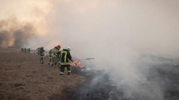 Рада поддержала в первом чтении проект закона о повышении штрафов для поджигателей травы и лесов