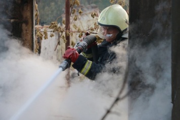 На Харьковщине объявили чрезвычайную ситуацию из-за лесных пожаров, - ФОТО