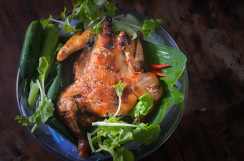 Как приготовить цыпленка табака в духовке: кулинарные лайфхаки