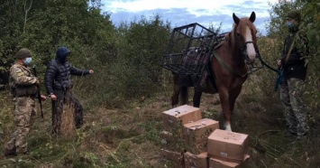 В Харьковской области на границе с РФ пограничникам пришлось открыть предупредительный огонь