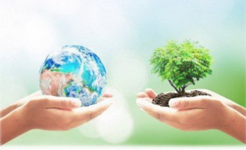 Улучшение экологии, коллективный успех и новый имидж государства: Юрий Остапюк рассказал об основных целях акции «1 000 деревьев за 24 часа»