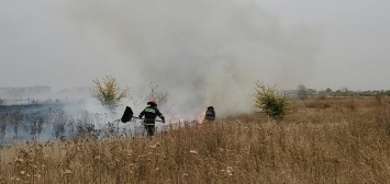В Харьковской области за сутки выгорело 18 гектар природных экосистем, - ФОТО