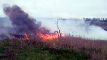 На Днепропетровщине за сутки ликвидировали 12 пожаров в экосистемах