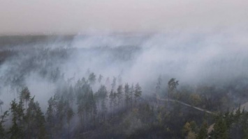 Экологи назвали причину масштабных пожаров на Луганщине