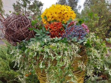 Мелитопольские флористы создали "Цветочный мармелад"
