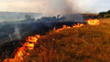 Под Никополем ликвидировали два пожара в экосистемах