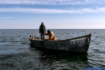 Вы о такой и не слышали - рыбак назвал свою любимую рыбу, которую ловят в Азовском море (фото)