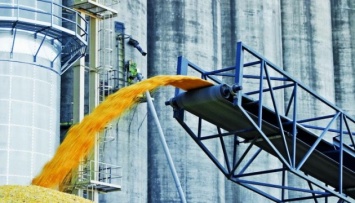 УЗА предостерегает от введения государственного регулирования цен на зерно