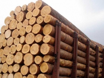 Арбитраж по лесу вынес решение: Украина имеет право ограничивать экспорт