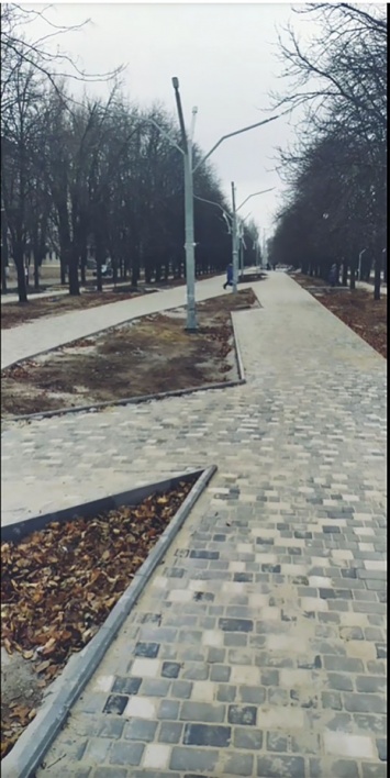 Деревья в виде фонарей: На Днепропетровщине заканчивают создание Каштановой аллеи (ВИДЕО)