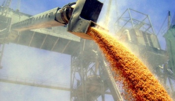 Украина снизила экспорт зерна на 15%