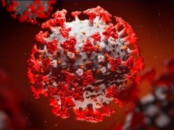Получено первое изображение белковой структуры коронавируса