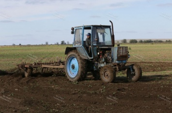 В 2020 году аграрии Крыма получили более трех млрд рублей субсидий