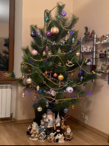 Снял игрушки и посадил во дворе: житель Никополя дал вторую жизнь новогодней елке