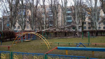В Никополе на территорию детского сада № 36 упало дерево