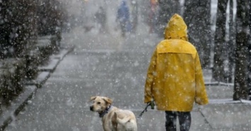 Когда потеплеет в Харькове: прогноз погоды на ближайшую неделю