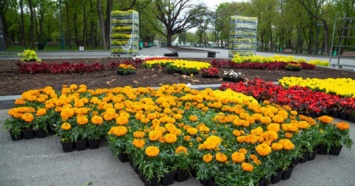 В Харькове собрались высадить 2,6 миллионов цветов