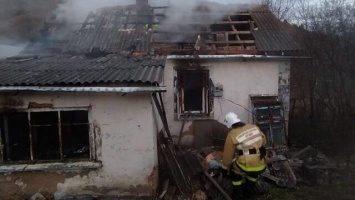 С начала года на пожарах в Крыму погибли 27 человек