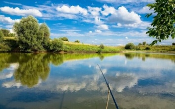 Рыбалка в Харькове: где можно ловить рыбу в городе и области